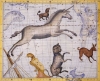 AABR001016.jpg