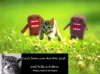 Cliche-Kitten_(Double_post).jpg