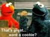 Cookie-Thats_great.jpg