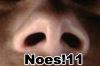 No-Noes.jpg