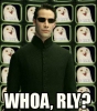 O_RLY-Matrix.jpg