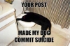 Post-Crap-Dog_Suicide.jpg
