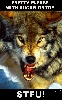 STFU-Wolf.gif