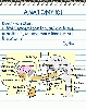 anatomy.gif