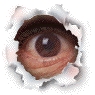 banner9.gif