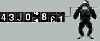 counter.gif