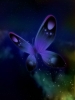 20butterfly7tu.jpg