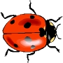Име : lady_bug.gif
Големина : 2KB
Размери : 90x90
Дата на добавяне : март 24 2007 lady_bug.gif
