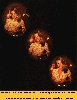 rekl_(56).gif