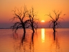 Salton_Sea_State_Recreation_Area,_California.jpg