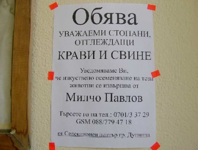 Натиснете за да видите снимката уголемена