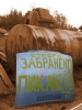 tabelki_(72).jpg