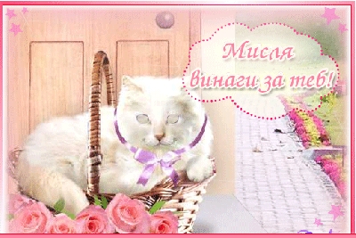 Натиснете за да видите снимката уголемена