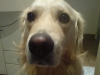 DSC01736.JPG